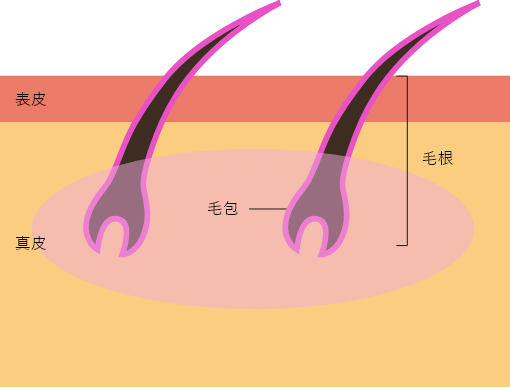 新式のSHR方式のイメージ写真