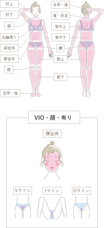 施術部位のイラスト